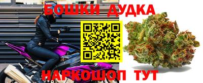 прущие грибы Донецк