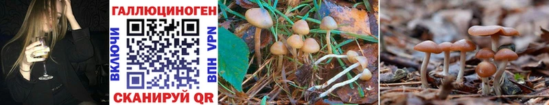 Псилоцибиновые грибы Magic Shrooms  магазин    Десногорск 