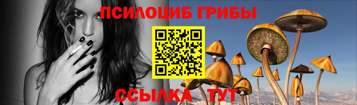 Псилоцибиновые грибы прущие грибы  Псилоцибиновые грибы мицелий  Вход с VPN  Десногорск 